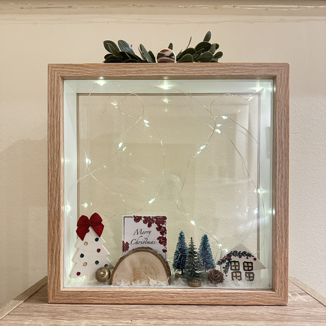 CHRISTMAS APRICOT SHADOW BOX