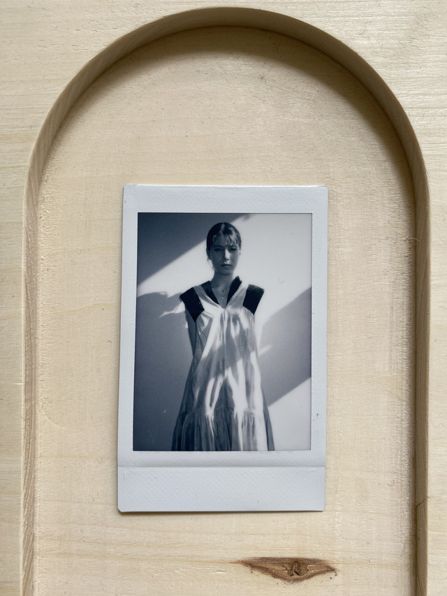 Dead Birds & Lionheart Instant Photo 2.