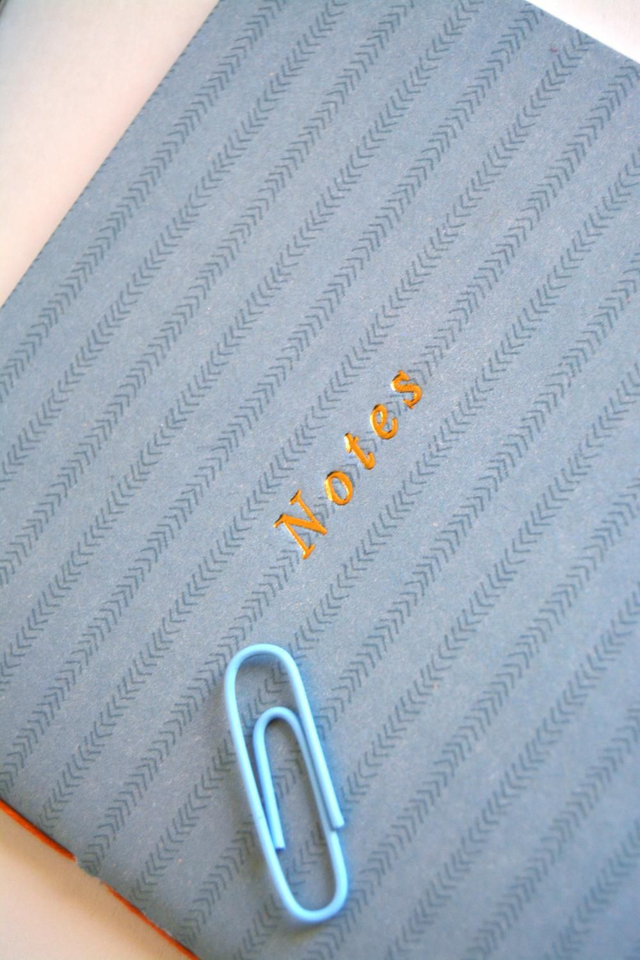 Petit cahier vert à stries