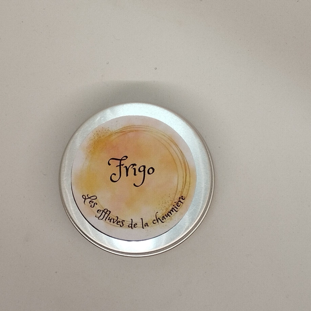 Absorbeur d’odeur pour frigo