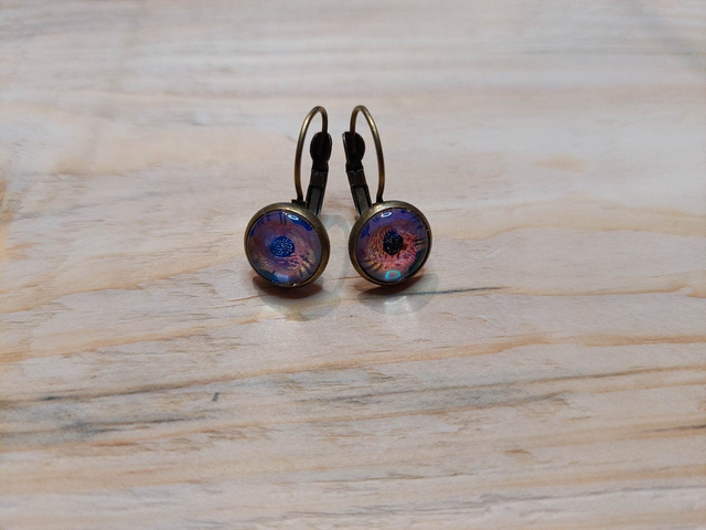 Boucles d'oreille Cabochon Dormeuse Oiseau Brillant