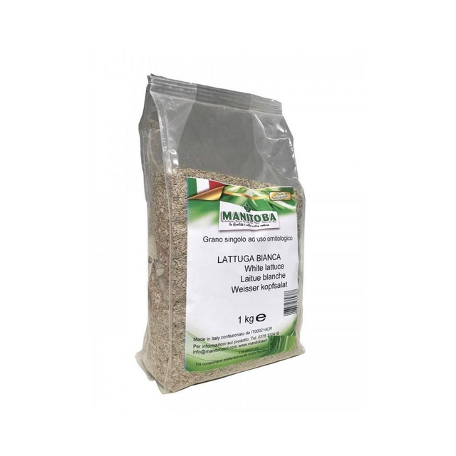Semi di Lattuga Bianca 1 kg Manitoba 
