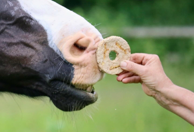 C&amp;C donuts pomme cannelle 