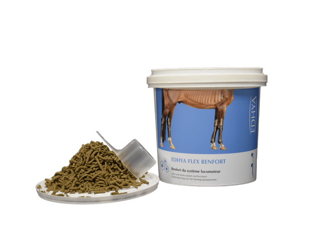 Edhya FLEX RENFORT 4 kg