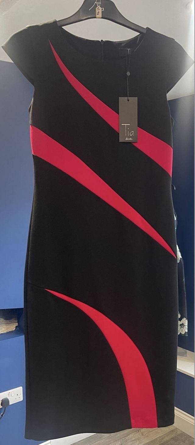 TIA Fitted Silhouette Dress (Black / Red)