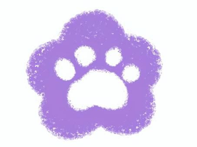 Puces d&#039;oreilles Pattes