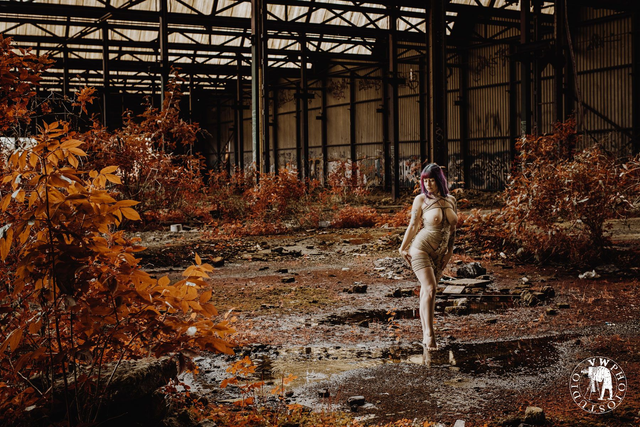 "Effeuillage automnal" Tirage Fine Art sur Alu-Dibond 30x45cm