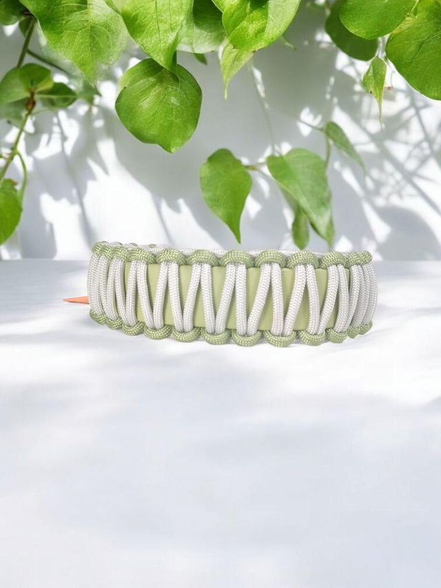 Collier pour chien en BioThane® tressé 