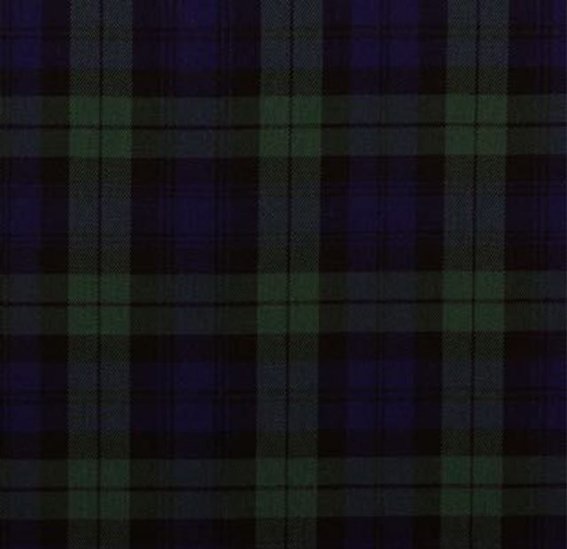 Tartan - Deep Green Check 
