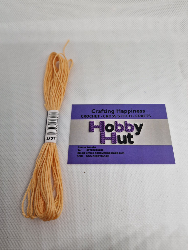 Embroidery Thread - 3827