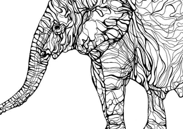 B&W A3 print - elephant