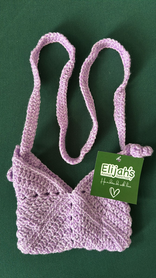 Light Purple Small Shoulder Bag