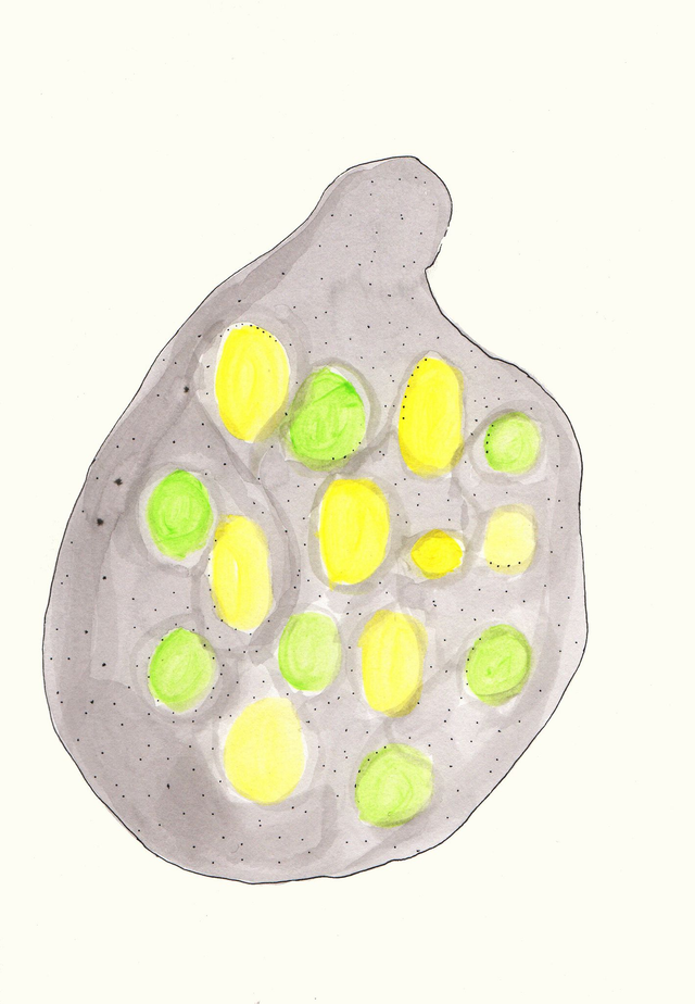 Encre de chine originale des « Comptines du week-end »  . Titre : J'ai croqué l'univers