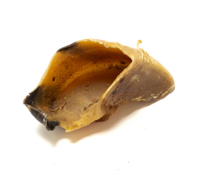NATURAL TREATS - COW HOOF