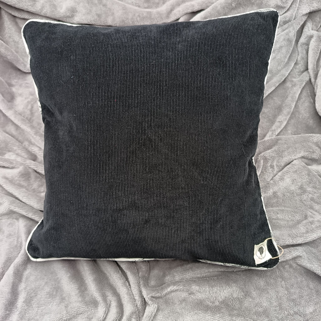 Housse de Coussin