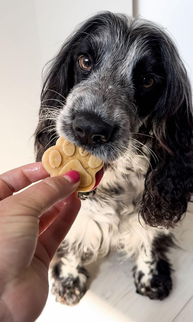 Dog & Bond 6-Paw Silicone Mould for Baking and Freezing (2-Pack)