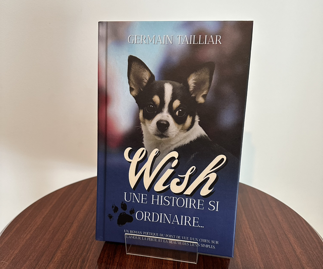 Wish - Une histoire si ordinaire
