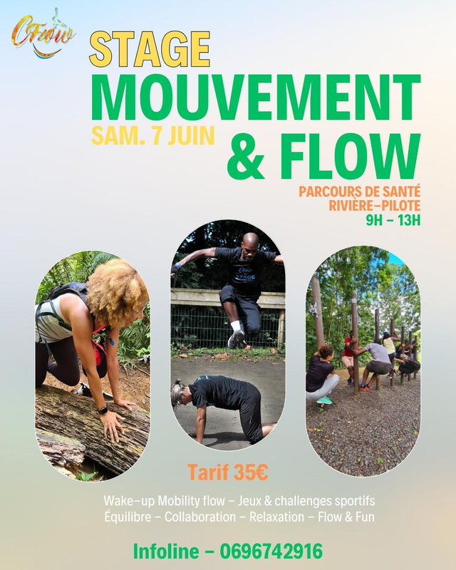 Stage Mouvement &amp; Flow
