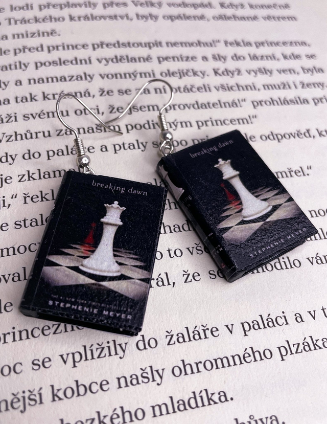 Náušnice mini knížky Breaking down