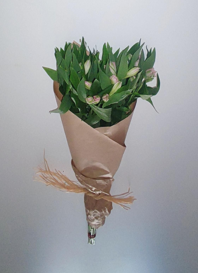 Alstromélia cor-de-rosa