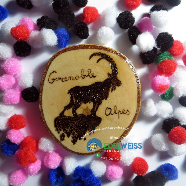 Grenoble Alpes - Bouquetin