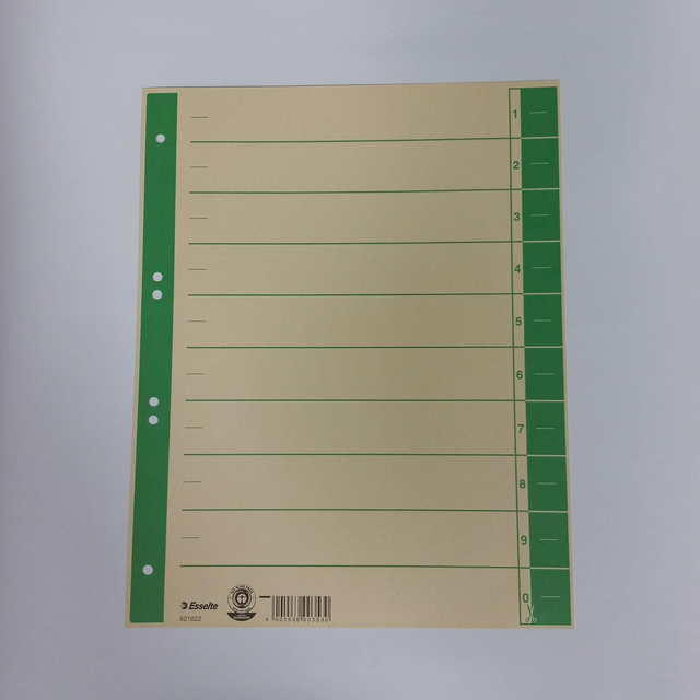 Esselte Trennblatt A4 