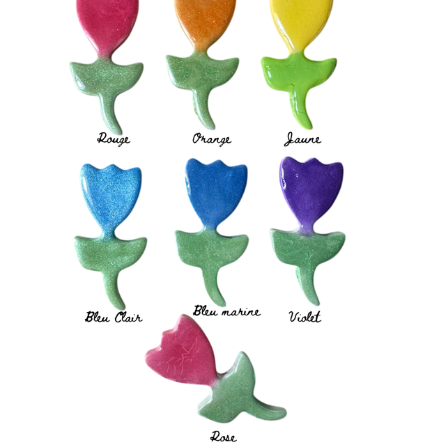 Cadre photo identité avec magnet interchangeable