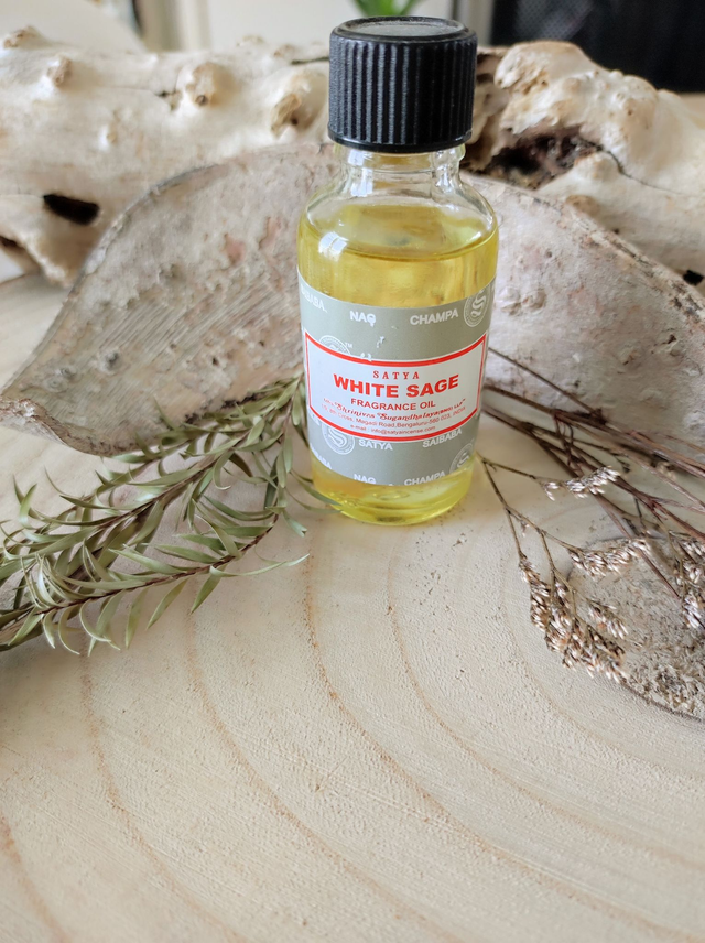Huile parfumée Satya Sauge blanche 