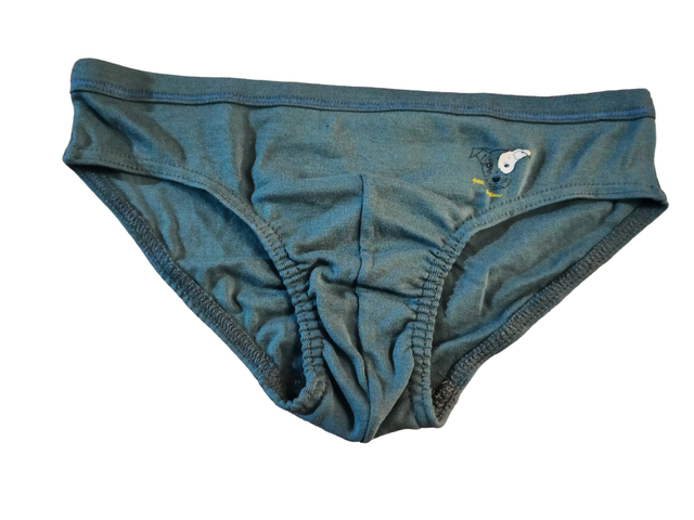 Slip (Petit Bâteau)