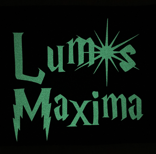 Petite Pochette Inspiration Harry Potter: Lumos Maxima