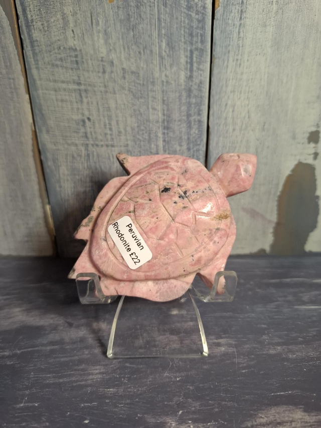 Peruvian Rhodonite Turtle 