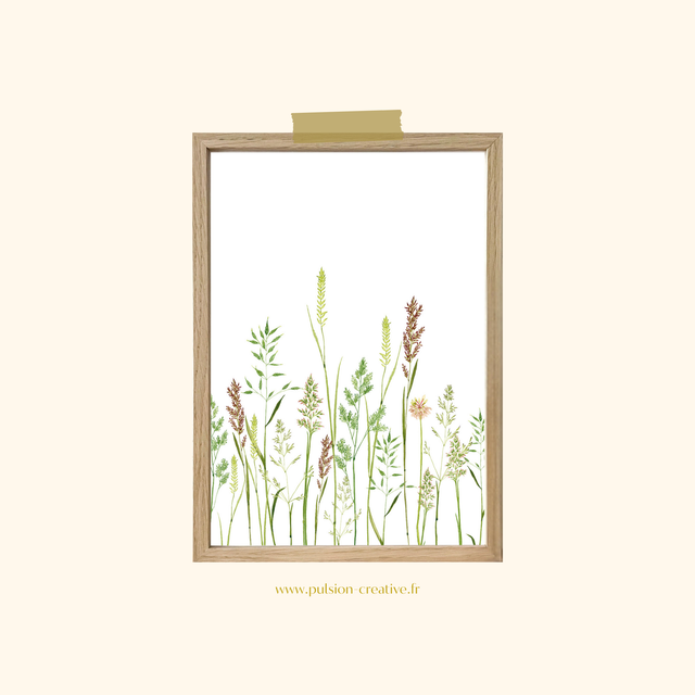 Affiche aquarelle A4 - GRAMINÉES