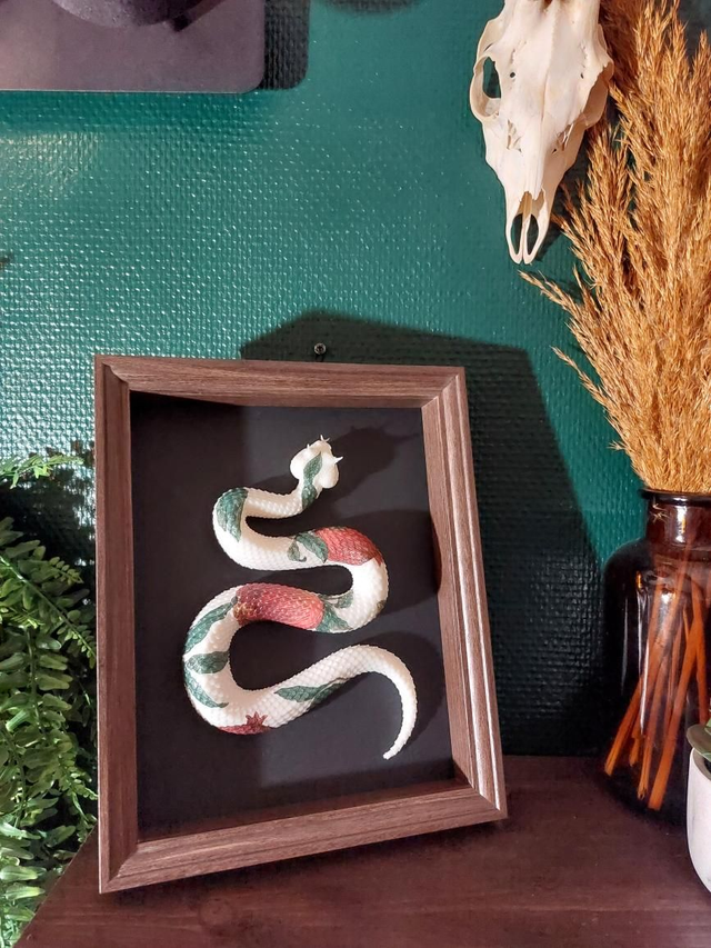 Cadre avec serpent rouge et vert