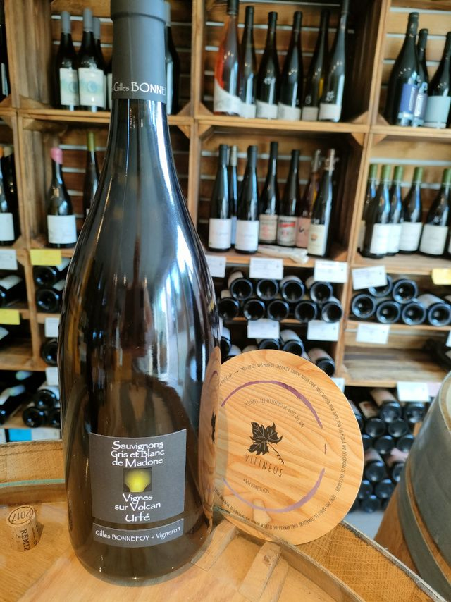 Sauvignon''s Magnum 2023 - Blanc Sec Tranquille - Domaine de La Madone (Gilles Bonnefoy)