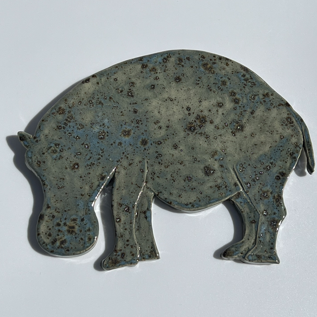 Bordskåner Flodhest