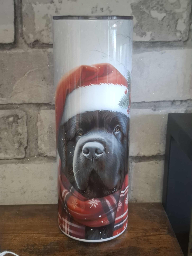 Gourde Canette Noël Terre Neuve