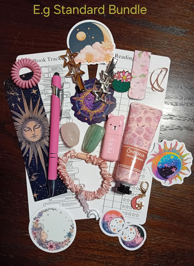 Standard book bundle