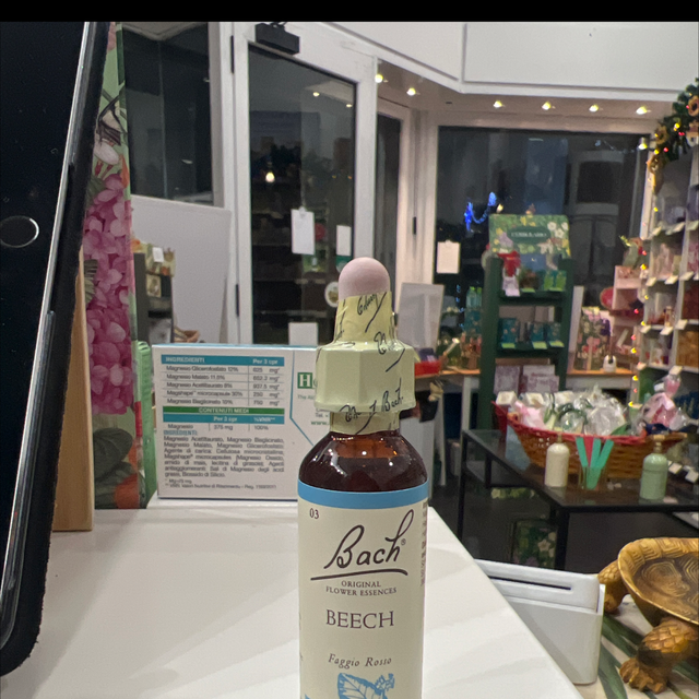 Fiori di bach 03 Beech