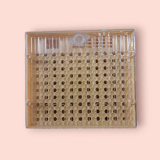 CASETTE PARA CRIANZA CUPULAS