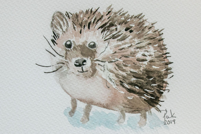 Siili vaakasuunnassa