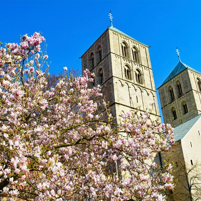 Dom mit weißer Magnolie
