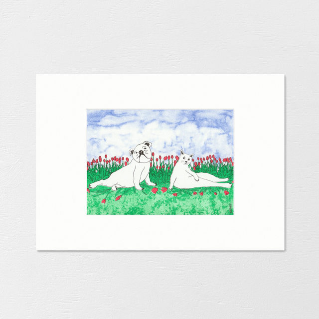 Incredibly woof, definitely meow