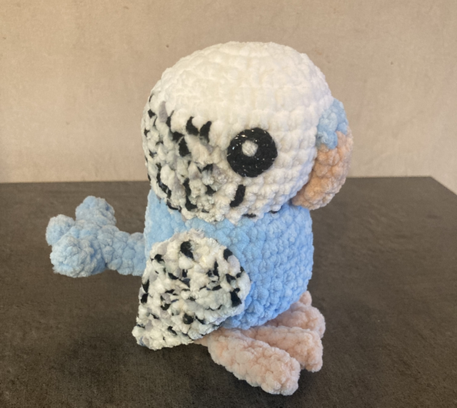 Perruche ondulée bleue