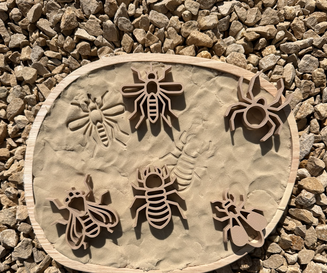 Uitstekers | insecten 2 