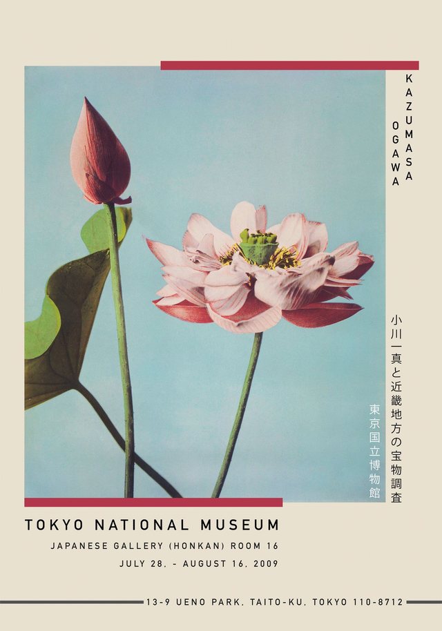 Lotus Flower Exhibition Poster