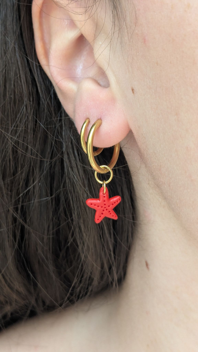 Charm étoile de mer rouge