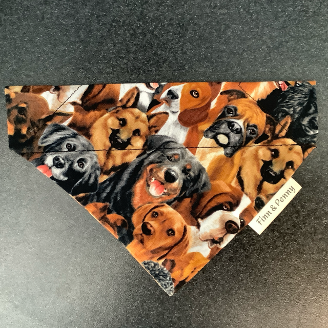 Dogs Bandana