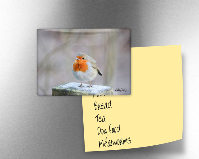 "Frosty Toes" Fridge Magnet