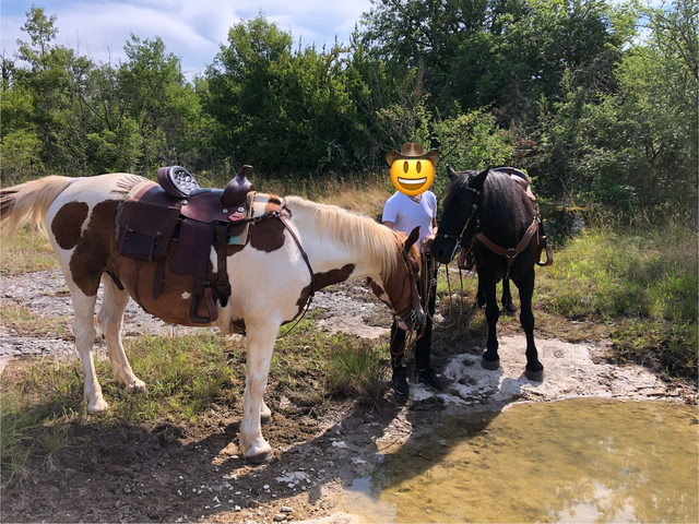 Bon cadeau à cheval ( balade du lac)