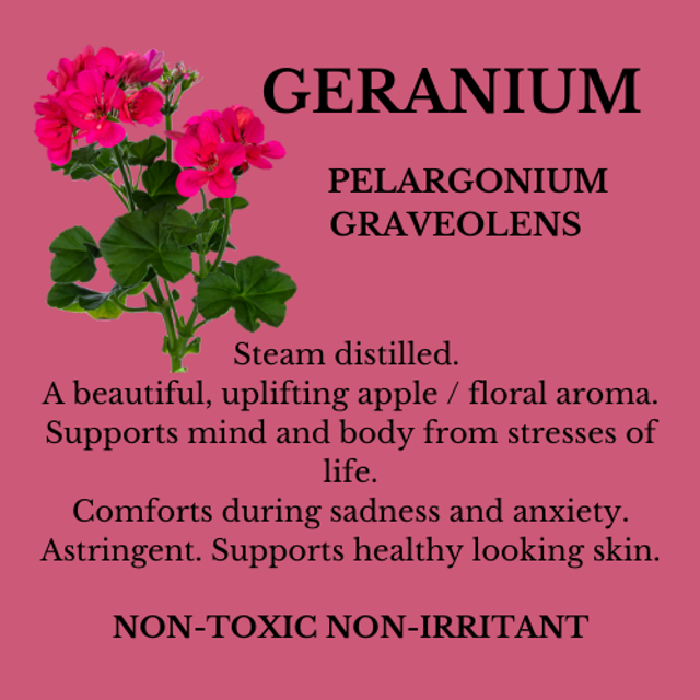 GERANIUM ESSENTIAL OIL